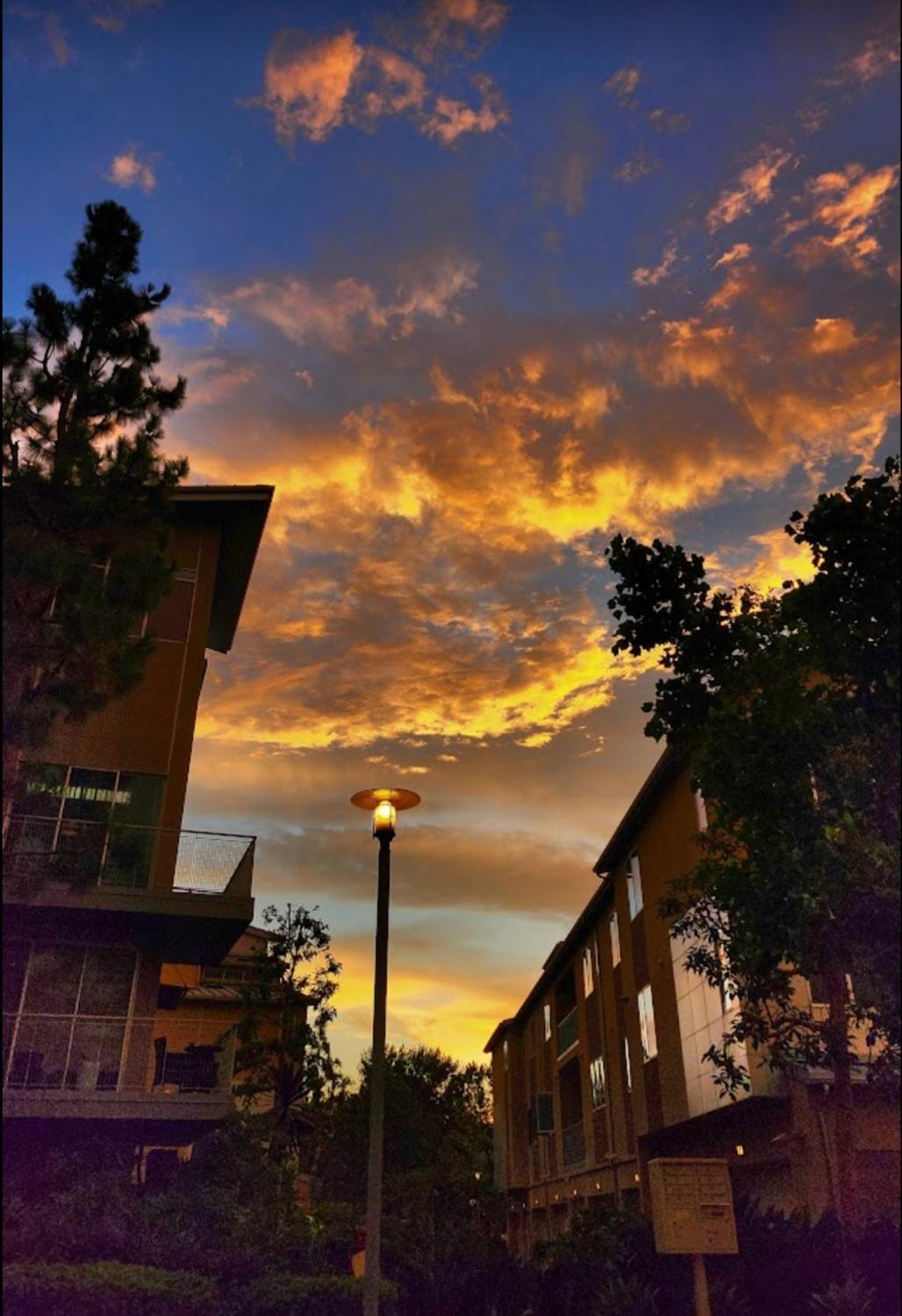 Penthouse Dreams * Irvine