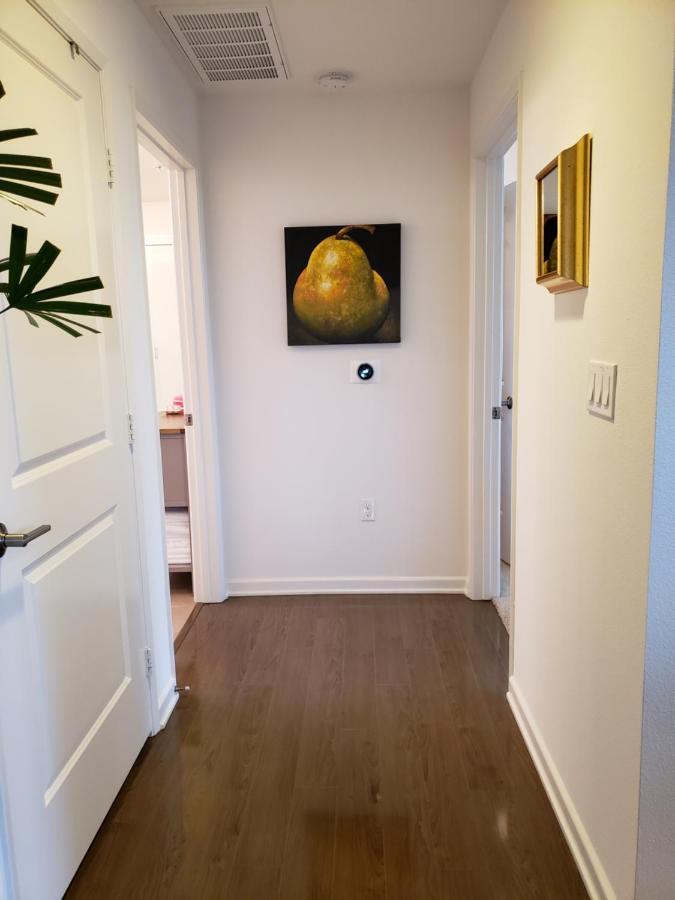 Penthouse Dreams * Irvine